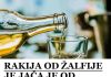 RAKIJA OD ŽALFIJE JE JAČA OD SVAKE HEMIJE – OVA 3 RECEPTA OBAVEZNO SAČUVAJTE ZA ZDRAVLJE VAS I VAŠE PORODICE