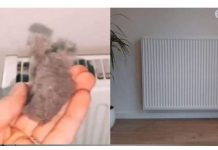 EVO KAKO DA OČISTITE RADIJATORE ZA MINUTU: Bolju foru niste vidjeli, kako se niko ranije nije sjetio ovoga?!