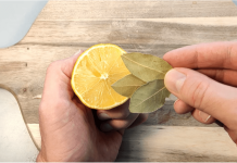 Samo zapiknite lovorov list u limun! UČINAK JE ZAPANJUJUĆ!
