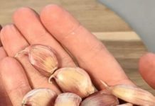 Sipajte ga oko prozora i ispred vrata i nećete više vidjeti mrave, paukove ili muhe: NAJJAČA KUĆNA MJEŠAVINA PROTIV ŠTETOČINA!