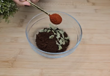 Stavite OVO u svoju kuću i nikada više nećete vidjeti muhe ili komarce