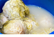 PIJETE LI RASOL? Pogledajte 5 razloga zašto biste trebali!