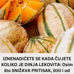 Add-a-heading-2024-07-05T102357.761