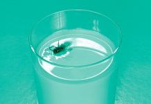 Evo kako organizam reaguje ako popijete piće u kojem je bila muha