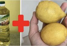 Svekrva mi je savjetovala da pomiješam limun sa običnim uljem: To je savršen kućni TRIK, koristim ga svaki dan!