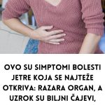 Your-paragraph-text-2024-09-08T110842.246