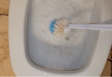 Sipajte u toalet i sačekajte 15 minuta: Domaći trik koji bi SVI trebali znati!