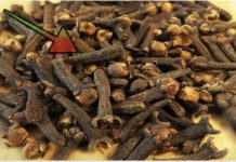 TO JE RAZLOG zašto sam počeo žvakati klinčiće svaki dan: Moram zahvaliti majčinoj ljekarnici na ovom sjajnom SAVJETU