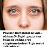 454349715_888460666648728_1488054149230413413_n-768×831