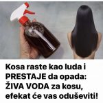 456430954_889600053205180_2250334790046567446_n-768×767