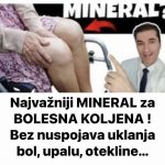 460660199_920481563446638_2802348605019258719_n-768×726