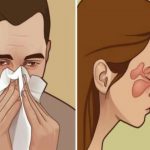 5dad8a69-cde8-42d6-894c-2b290a0a0a64-nos1-690×480-1