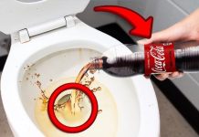 Sipajte u toalet i sacekajte samo 15 minuta!!