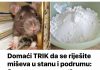DOMAĆI TRIK DA SE RIJEŠITE MIŠEVA U STANU ILI PODRUMU