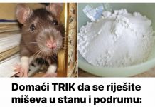 DOMAĆI TRIK DA SE RIJEŠITE MIŠEVA U STANU ILI PODRUMU