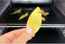 Svi bi trebali biti svjesni efekta koji se može postići jednostavnim stavljanjem običnog lovorovog lista u rernu i ostavljanjem da se peče 20 minuta