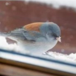 Screenshot-2024-10-20-192247