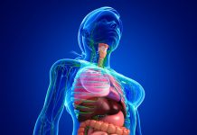 Gastroenterolog otkriva šta razjeda creva i najbrže ih uništava: Sve bolesti od toga kreću, ova ishrana je jedino dobra