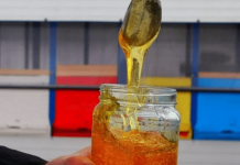 DOKTOR PROTIĆ TVRDI DA OVA NAMIRNICA NAJBRŽE RAZARA PANKREAS: Ljudima je omiljena, a može dovesti i do NAJGOREG