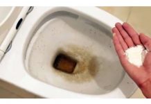 Zaboravite OCAT: Ovaj puder iz kuhinje čisti toalet dok čekate – bez kamenca, žutih mrlja i mirisa!