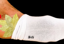 SAVRŠEN TRIK- DEDO je stavio list lovora u čarapu i otišao na spavanje! STARI trik koji nikada ne smije se zaboraviti (FOTO)