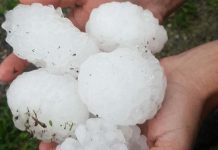 UDUBLJENJA, OGREBOTINE, OŠTEĆENA STAKLA: Evo kako zaštititi automobil od grada!