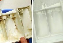 OVA stvar je izvukla svu prljavštinu, kamenac i buđ iz rezervoara u mojoj mašini za pranje veša: 15 MINUTA I KAO NOVA!