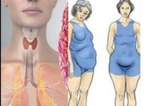 Štitnjača igra ključnu ulogu u regulaciji hormona i održavanju zdrave težine, bilo da se radi o pretjeranoj mršavosti ili debljini.