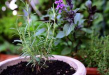 Kako se zaštititi od onih koji nam žele zlo