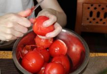 Dijeta s rajčicama postala je nevjerojatno popularna, a ljudi su poludjeli zbog njezinih prednosti za mršavljenje …