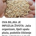 455257492_529488939433920_1216678833549454669_n