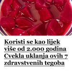 464301065_559210120126213_3527691526943223621_n – kopija