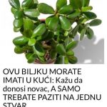 470490436_604190282106631_3961676699883531639_n-1