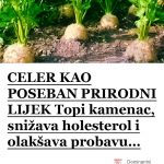 471579328_564966683020278_5416193071289826221_n