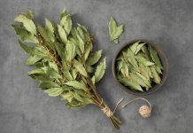 Svi bi trebali biti svjesni efekta koji se može postići jednostavnim stavljanjem običnog lovorovog lista u rernu i ostavljanjem da se peče 20 minuta.