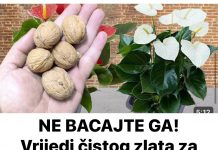 NE BACAJTE GA! Vrijedi čistog zlata za sve biljke (tjera ih da eksplodiraju, s toliko cvjetova)
