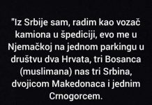“Rodom sam iz Srbije, radim kao vozač kamiona”