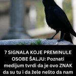 FB_IMG_1723275981686-1