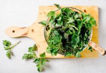 Nakon što se borila sa uporno niskim nivoom gvožđa, naišla je na recept koji je potpuno promenio njeno zdravlje;