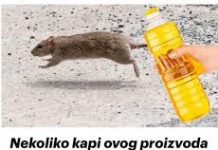 Nekoliko kapi ovog proizvoda će vam pomoći da TRAJNO otjerate miševe iz kuće: Slijedite OVU proceduru!