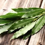 lovor_shutterstock_161567666-768×483