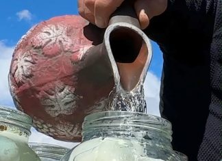 Jaja ostaju SVJEŽA tijekom cijele godine i ne kvare se: Toga su znali već naši stari!