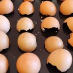 maxresdefault-2-768×432