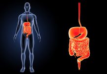 Očistite debelo crijevo i sagorite masti …