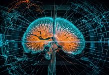 Kao neurolog, važno je napomenuti da mozak ima averziju prema masti, duhanu i alkoholu.