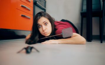 Sipajte ga oko prozora i ispred vrata i nećete više vidjeti mrave, paukove ili muhe: NAJJAČA KUĆNA MJEŠAVINA PROTIV ŠTETOČINA!