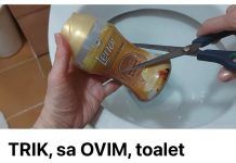 TRIK, sa OVIM, toalet ostaje čist i mirisan do 30 dana: Ne kupujem ništa drugo!