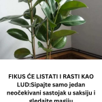 Add-a-subheading-1-10