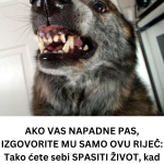 Add-a-subheading-6-6