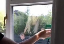 SAVRŠENI TRIK MOJE SVEKRVE KAKO DA PROZORI BUDU ČISTI POLA GODINE